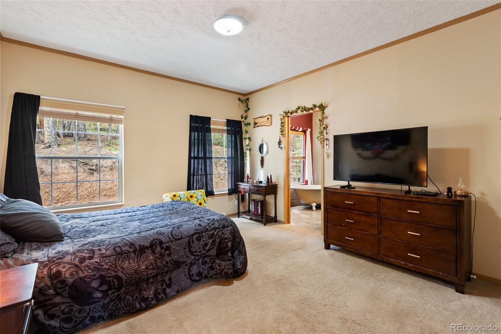 MLS Image #25 for 129  kestrel court,divide, Colorado