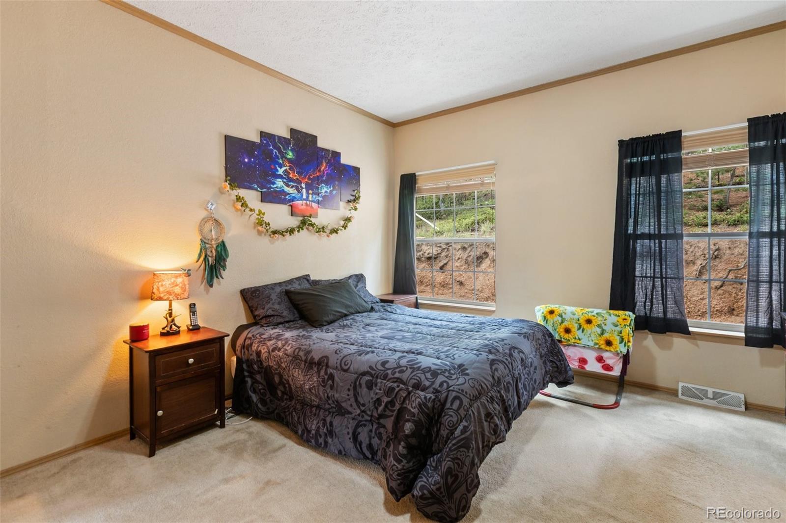 MLS Image #26 for 129  kestrel court,divide, Colorado