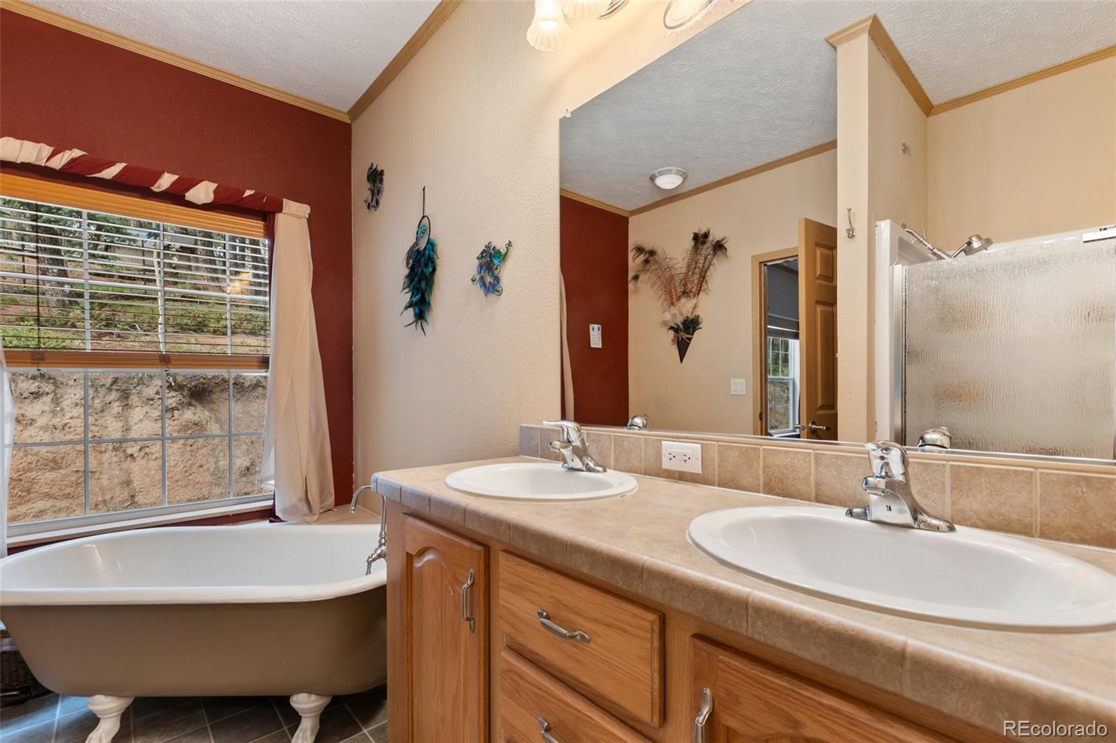 MLS Image #28 for 129  kestrel court,divide, Colorado