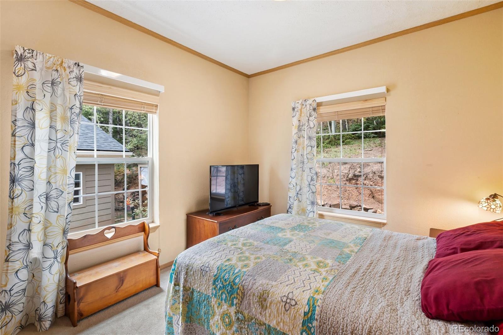 MLS Image #29 for 129  kestrel court,divide, Colorado