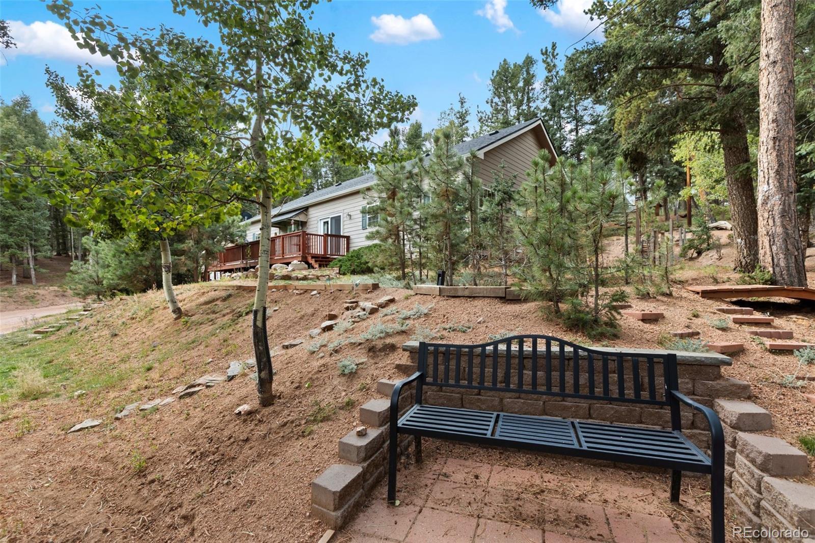 MLS Image #3 for 129  kestrel court,divide, Colorado