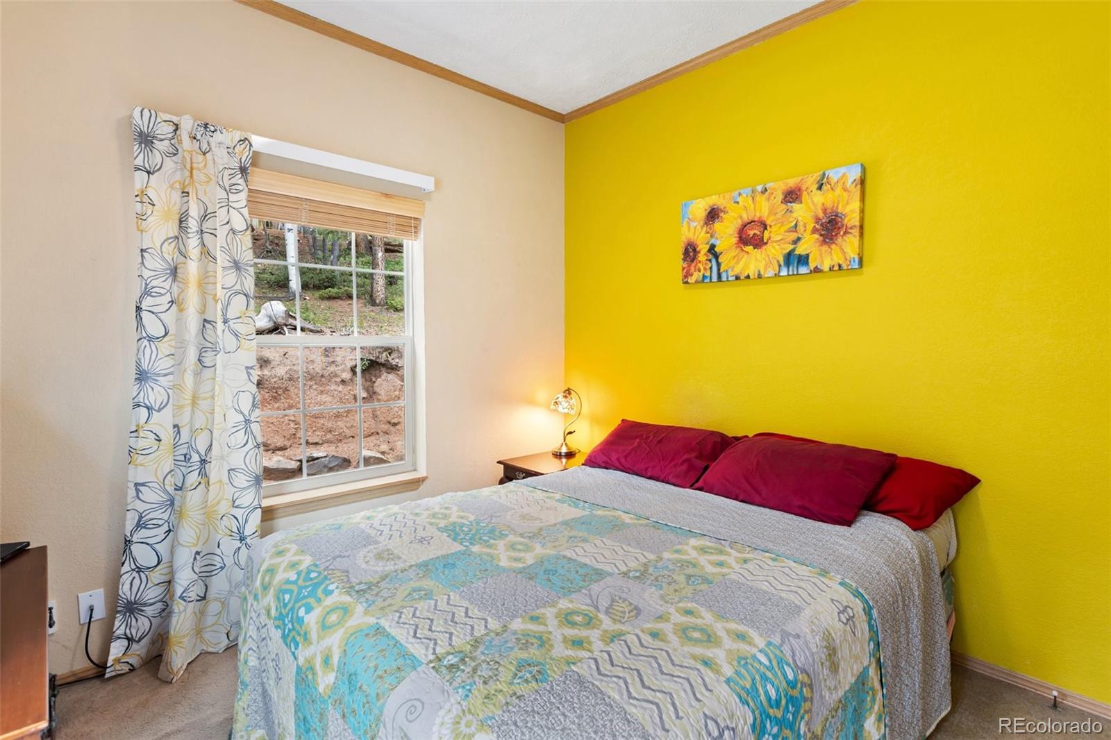 MLS Image #30 for 129  kestrel court,divide, Colorado