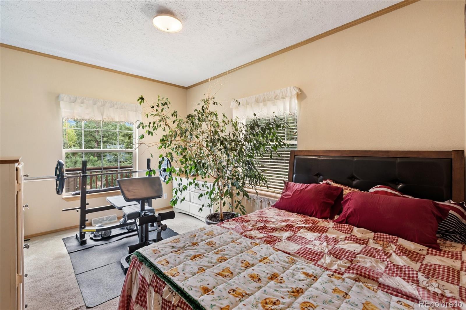 MLS Image #31 for 129  kestrel court,divide, Colorado