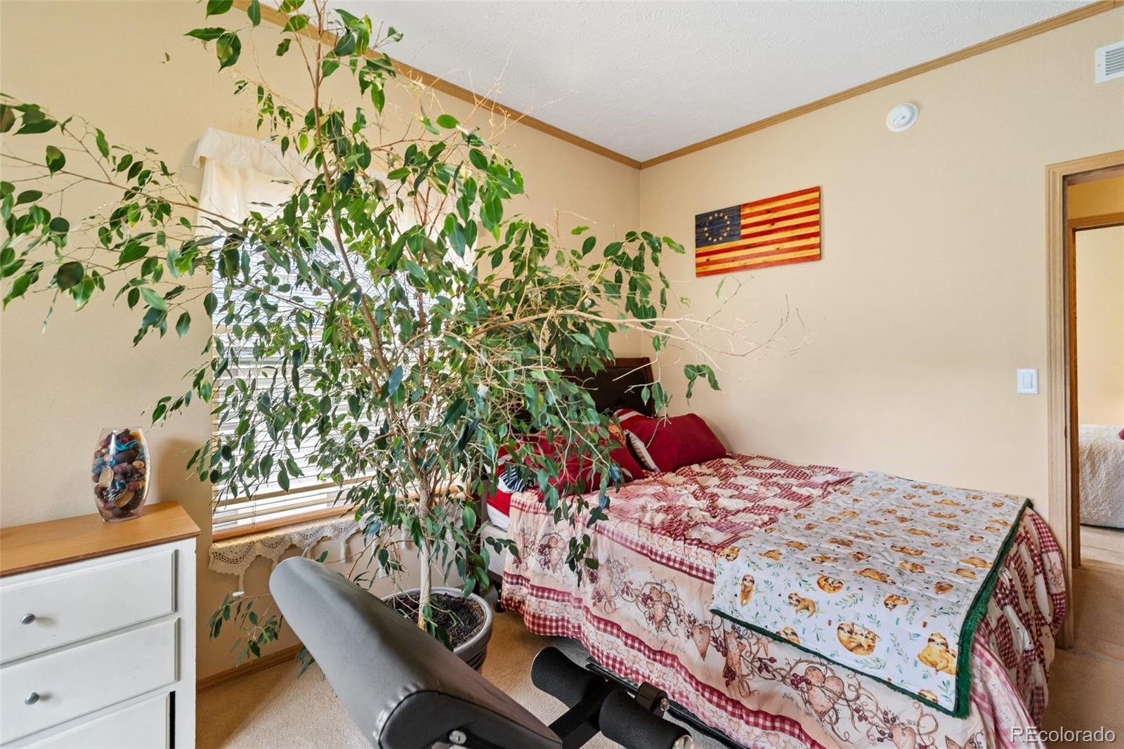 MLS Image #32 for 129  kestrel court,divide, Colorado