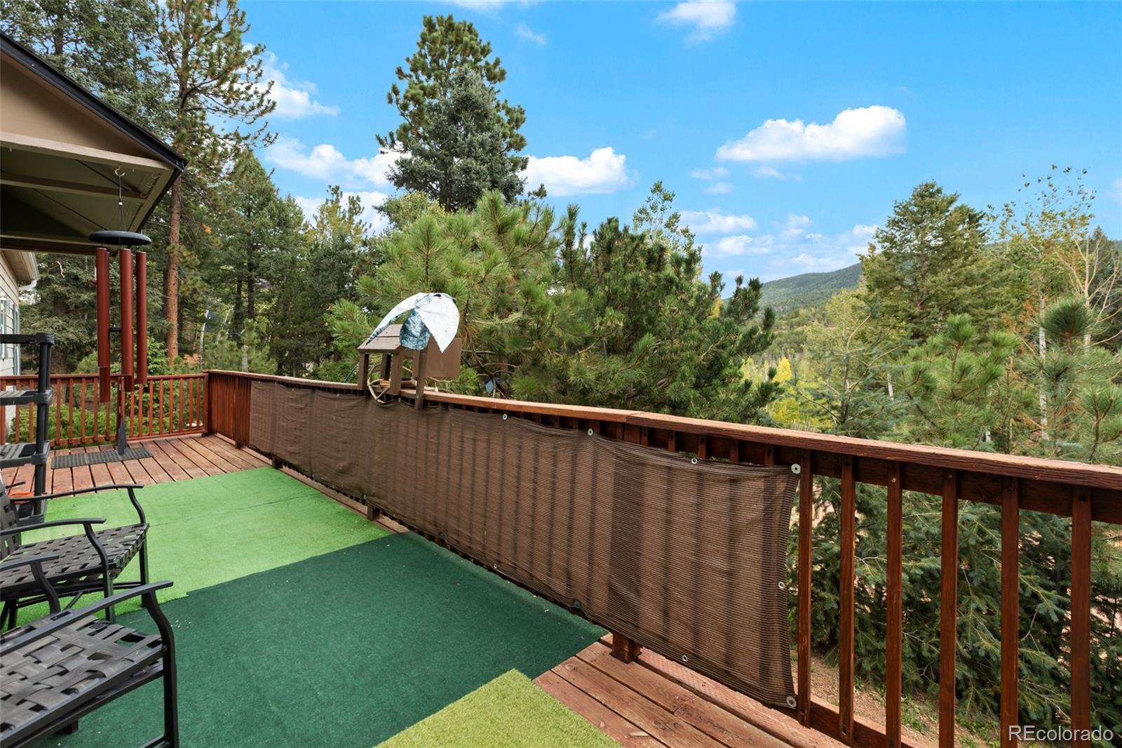 MLS Image #34 for 129  kestrel court,divide, Colorado