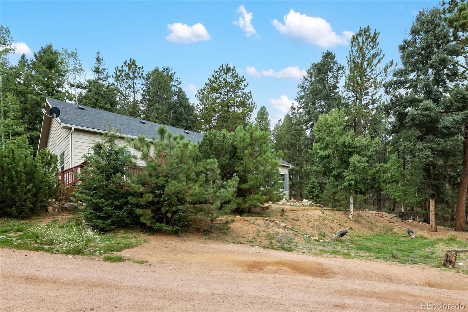 MLS Image #37 for 129  kestrel court,divide, Colorado