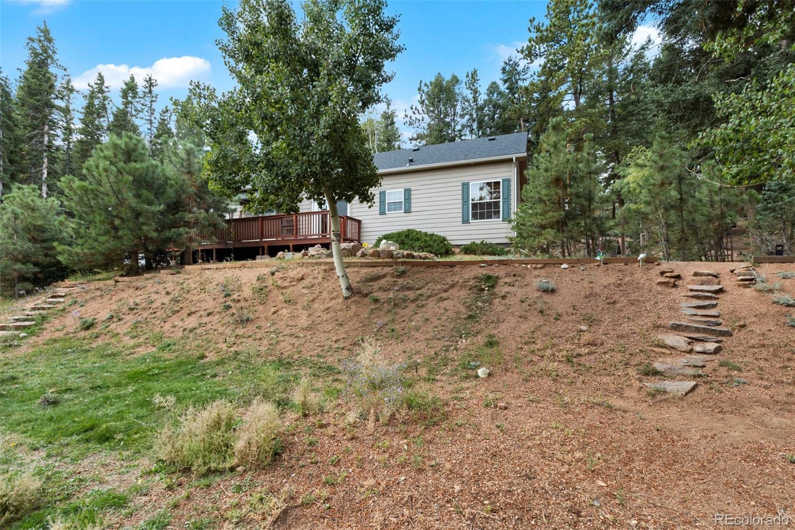 MLS Image #38 for 129  kestrel court,divide, Colorado