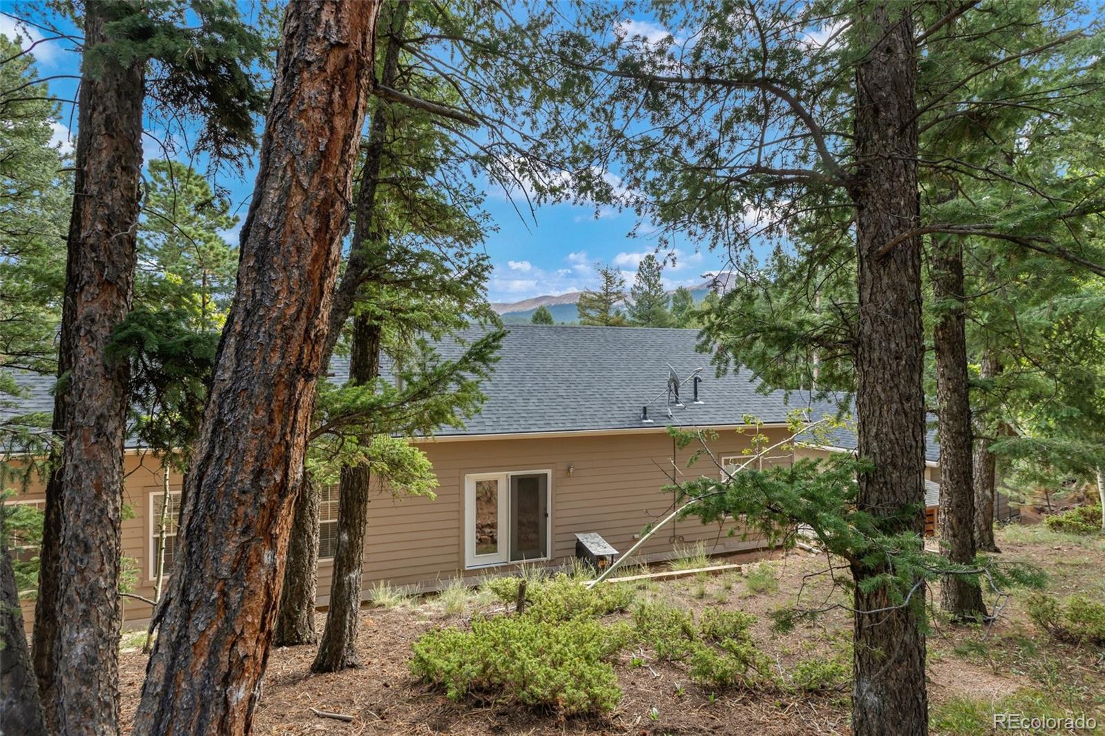 MLS Image #39 for 129  kestrel court,divide, Colorado