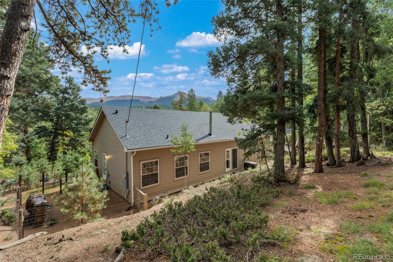 MLS Image #4 for 129  kestrel court,divide, Colorado