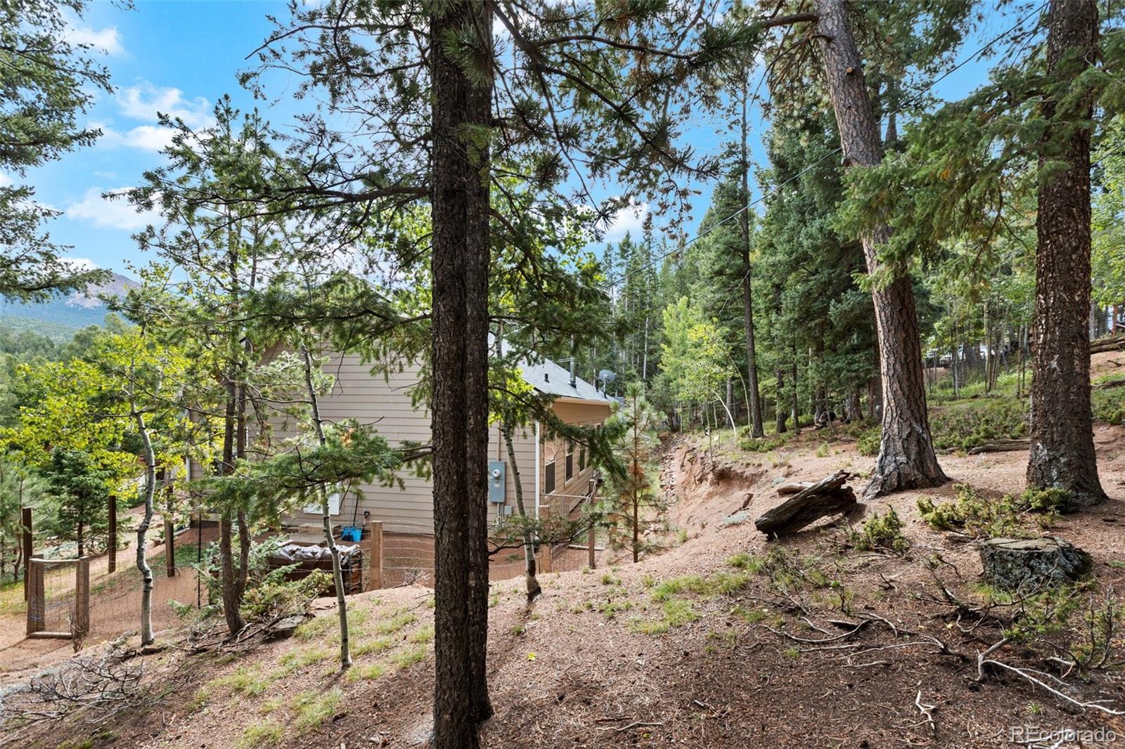 MLS Image #40 for 129  kestrel court,divide, Colorado