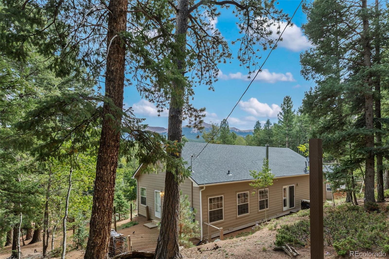 MLS Image #7 for 129  kestrel court,divide, Colorado