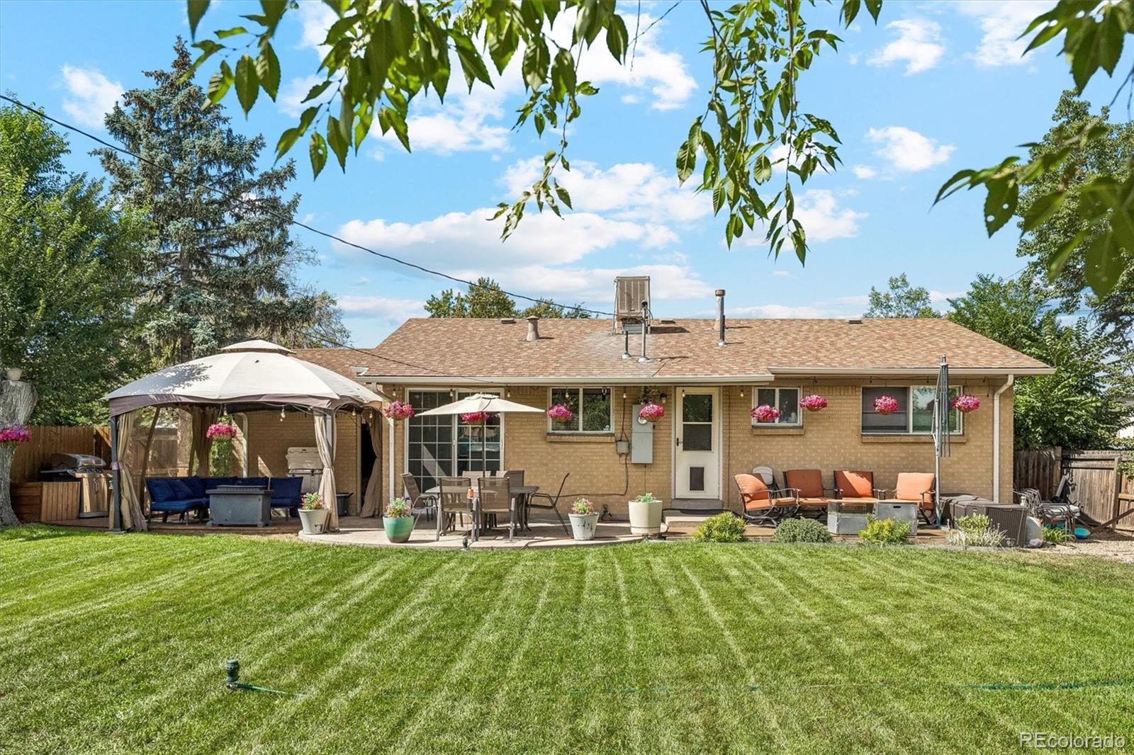 MLS Image #25 for 8248  pearl street,denver, Colorado