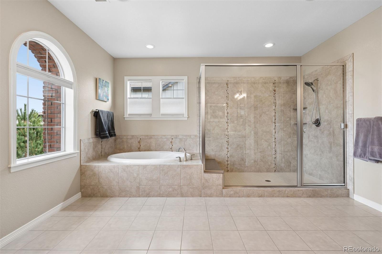 MLS Image #18 for 530  moonmist court,highlands ranch, Colorado