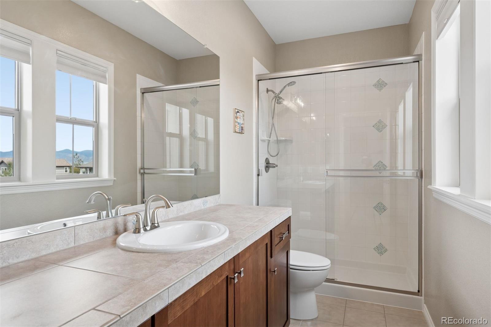 MLS Image #20 for 530  moonmist court,highlands ranch, Colorado