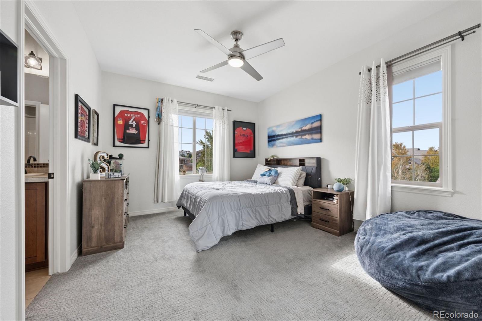 MLS Image #21 for 530  moonmist court,highlands ranch, Colorado