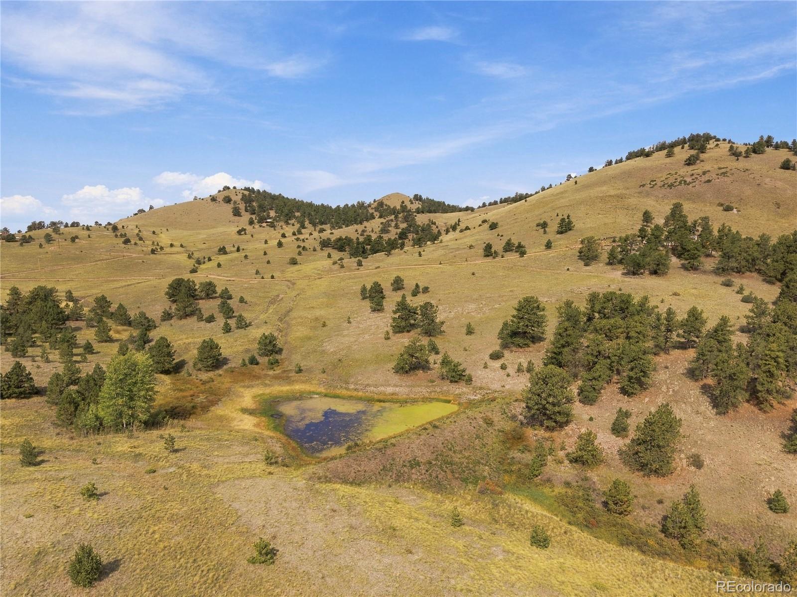 MLS Image #1 for 214  betty lou road,guffey, Colorado