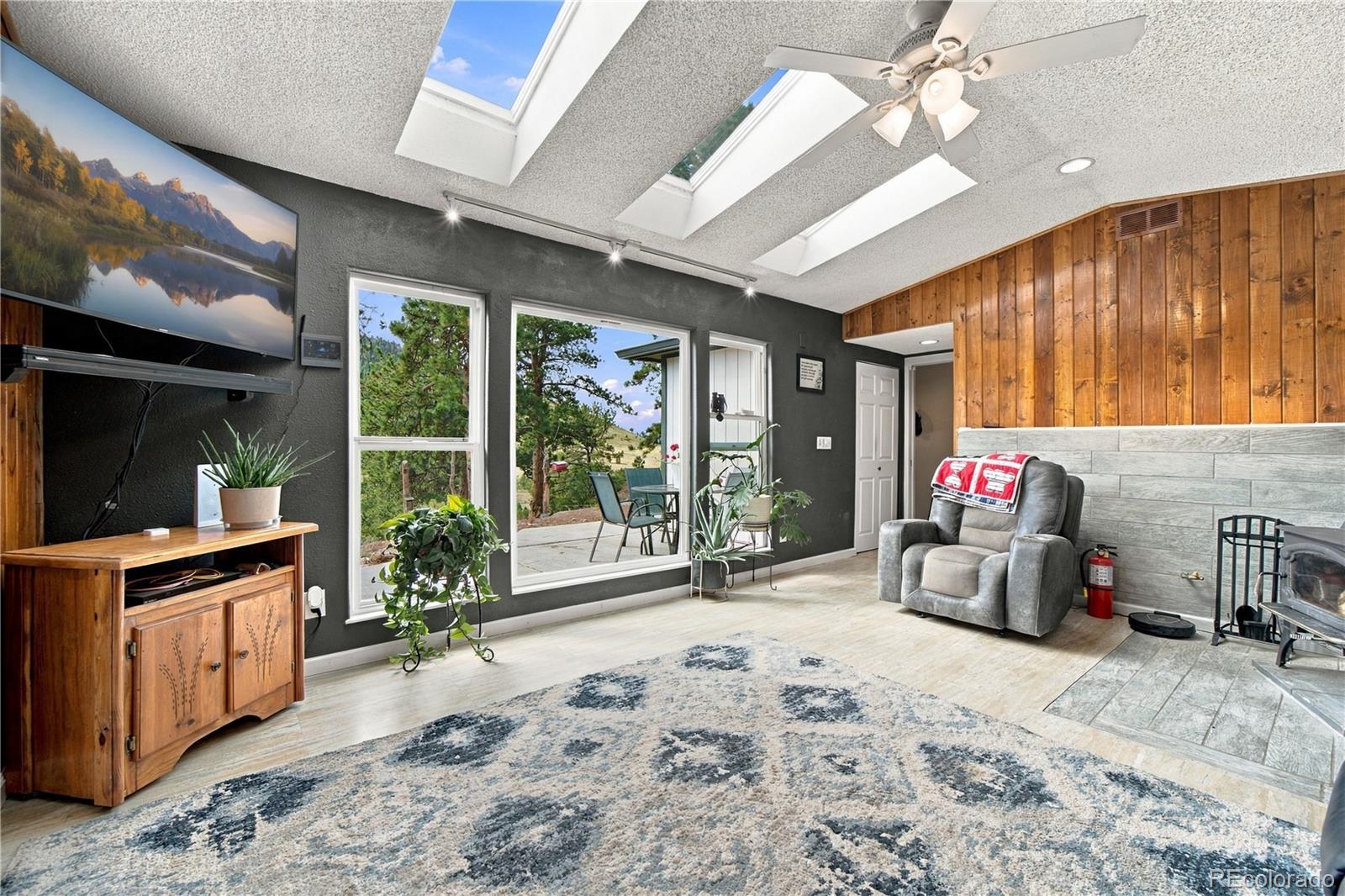 MLS Image #10 for 214  betty lou road,guffey, Colorado