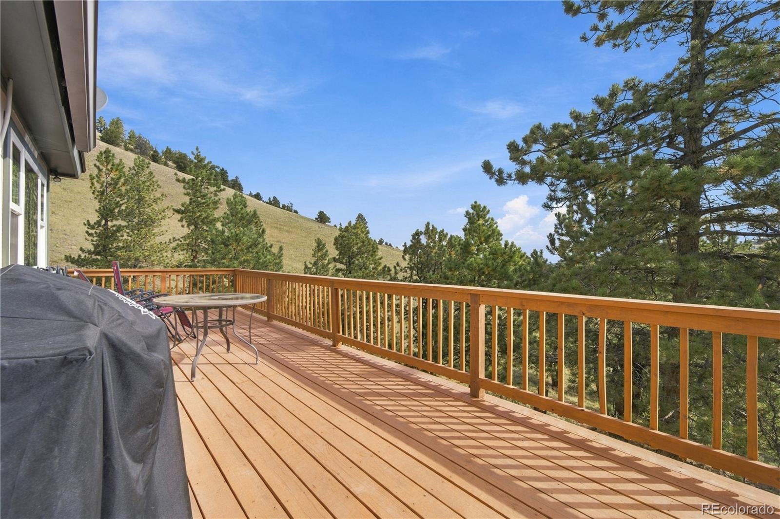 MLS Image #17 for 214  betty lou road,guffey, Colorado