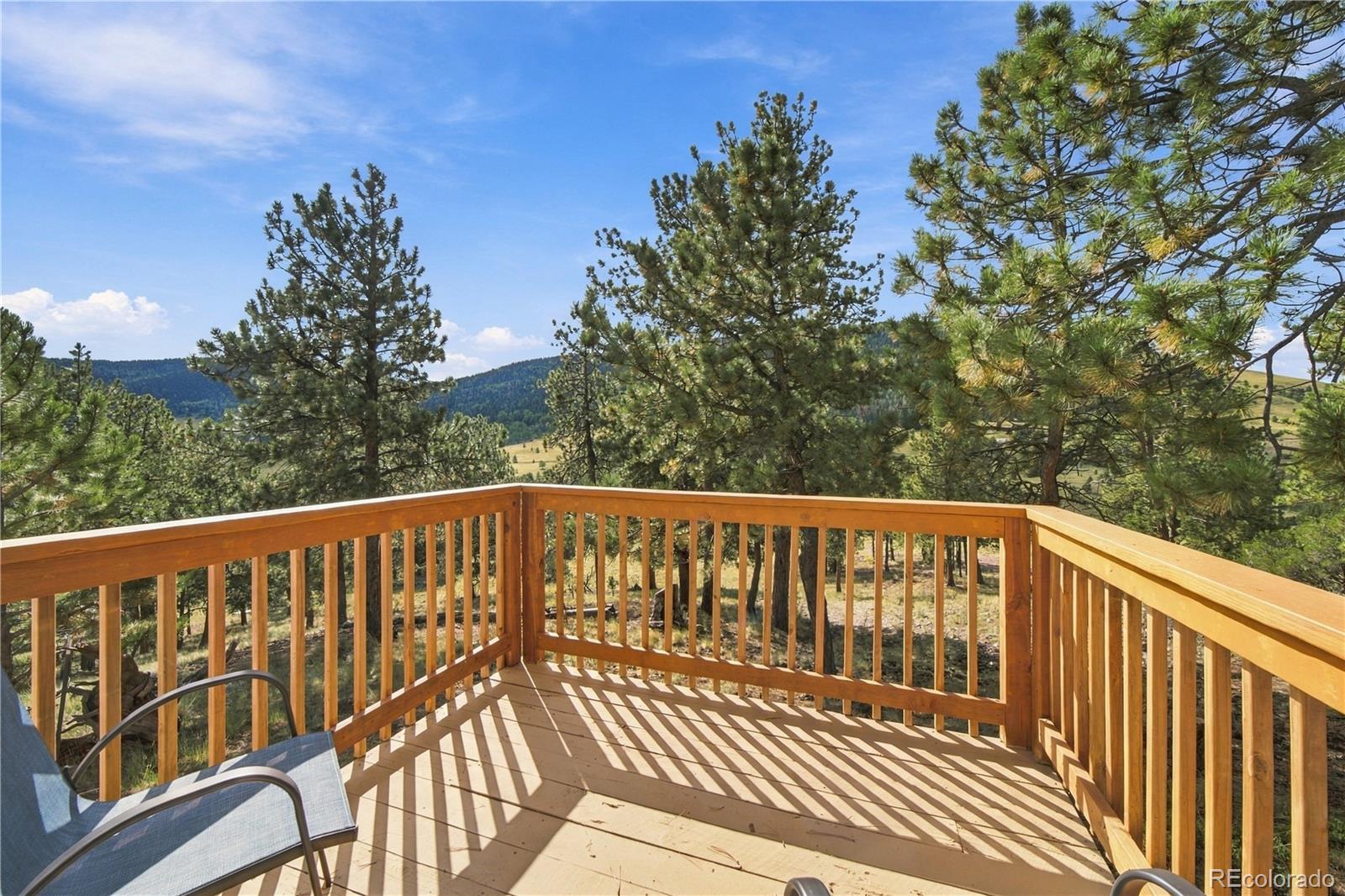 MLS Image #31 for 214  betty lou road,guffey, Colorado