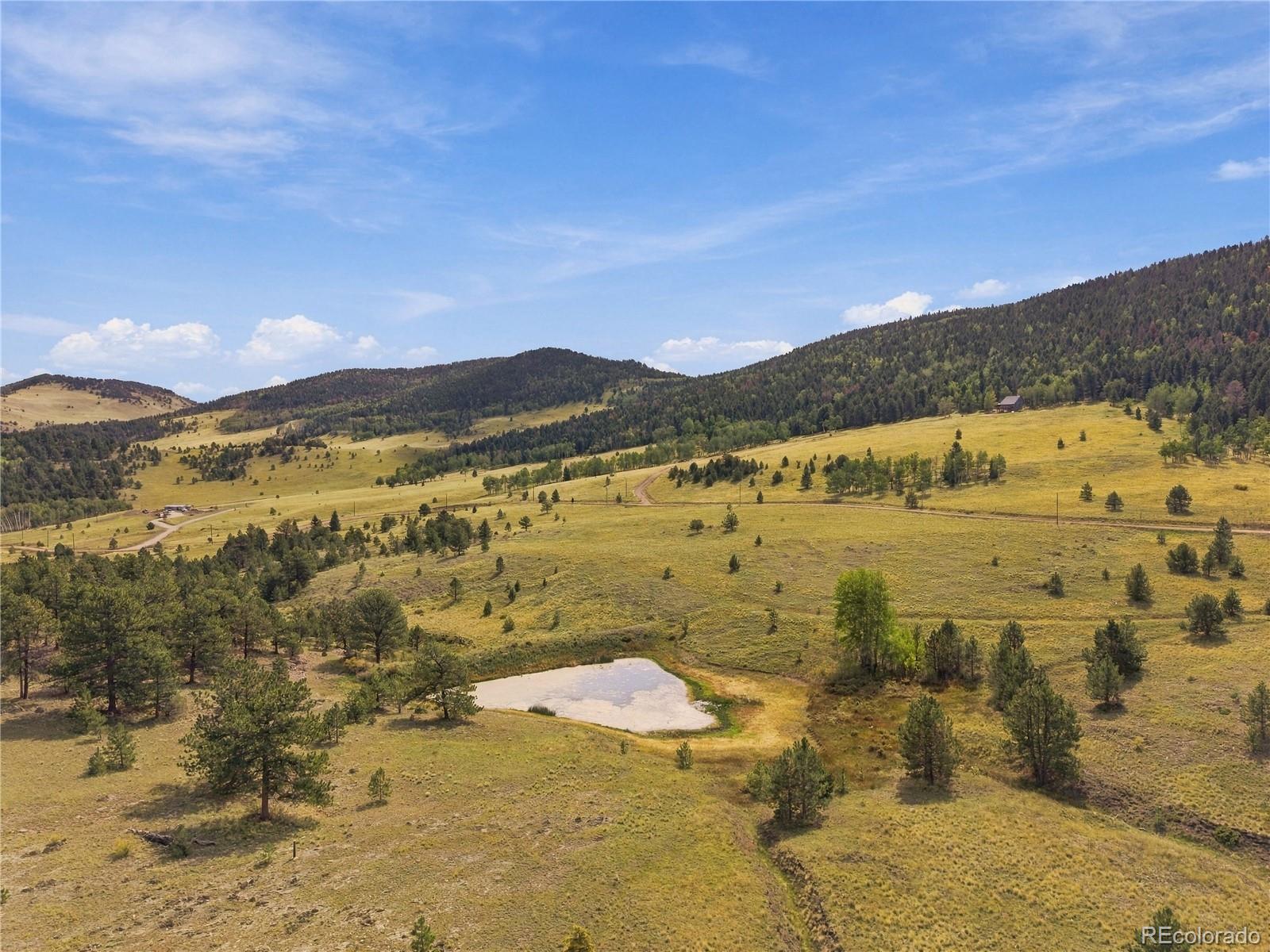 MLS Image #45 for 214  betty lou road,guffey, Colorado