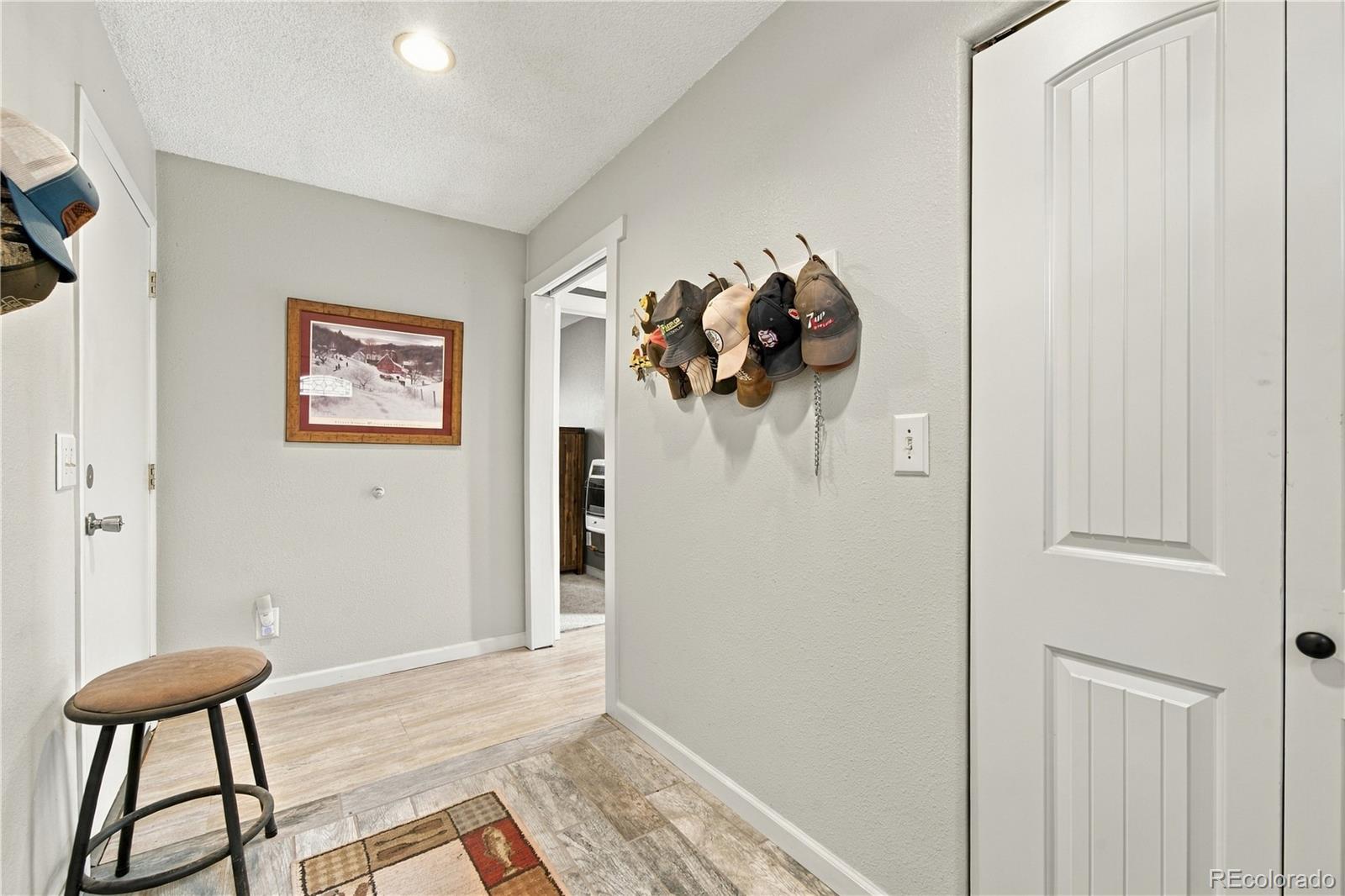 MLS Image #5 for 214  betty lou road,guffey, Colorado