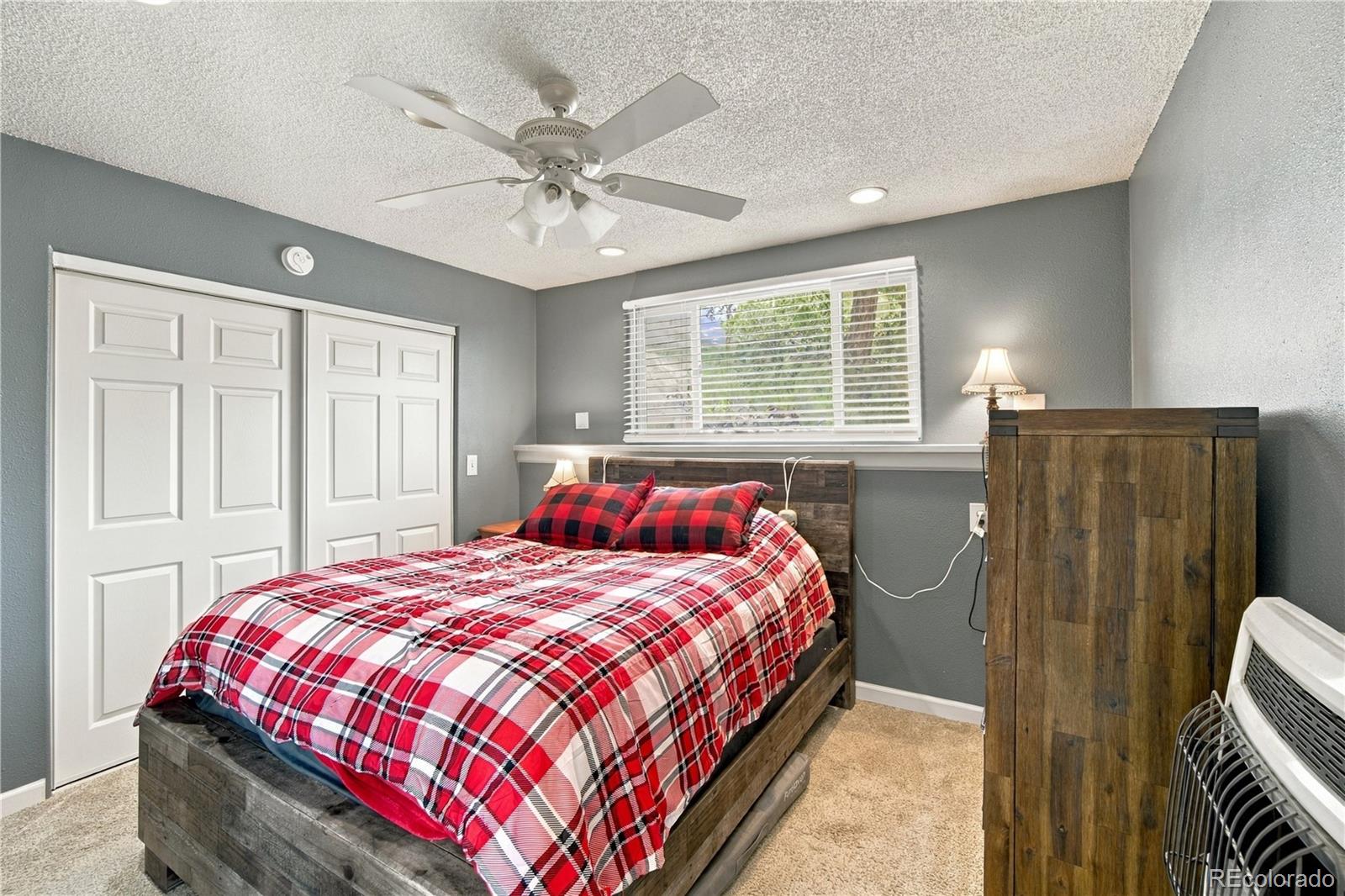 MLS Image #6 for 214  betty lou road,guffey, Colorado