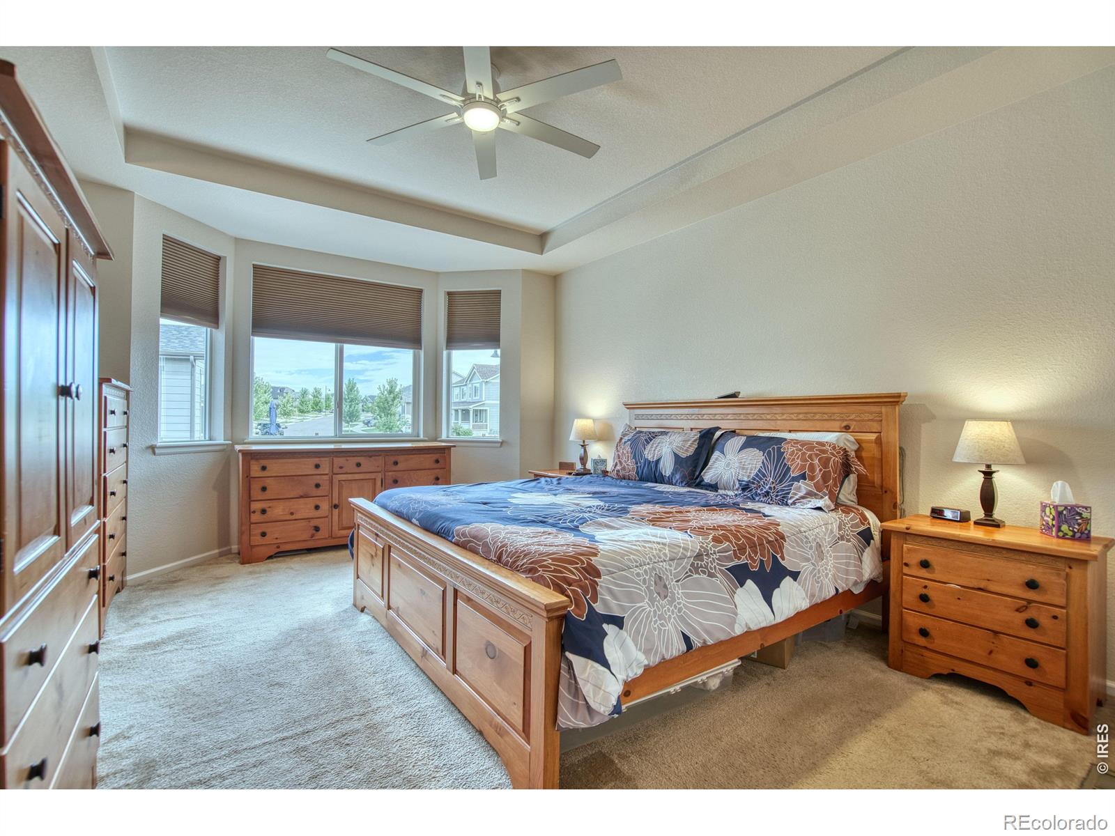 MLS Image #15 for 12534  shore point street,firestone, Colorado