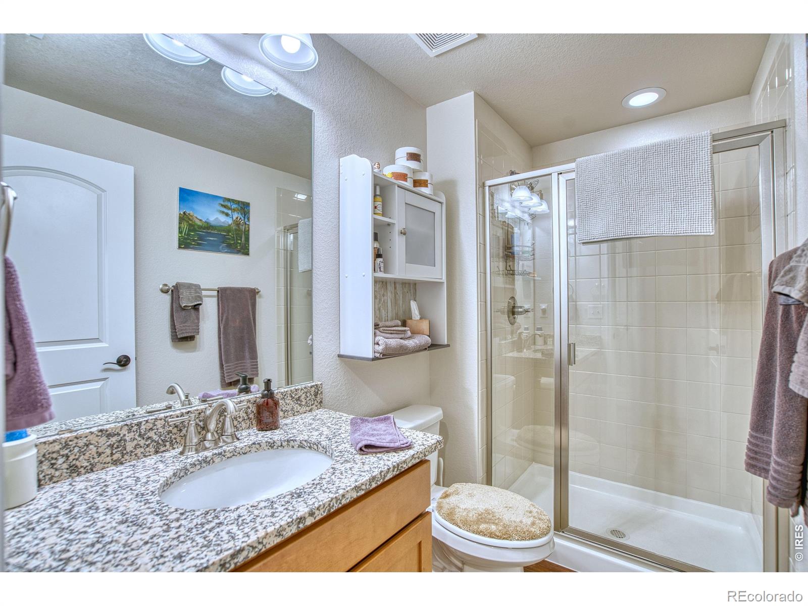 MLS Image #23 for 12534  shore point street,firestone, Colorado