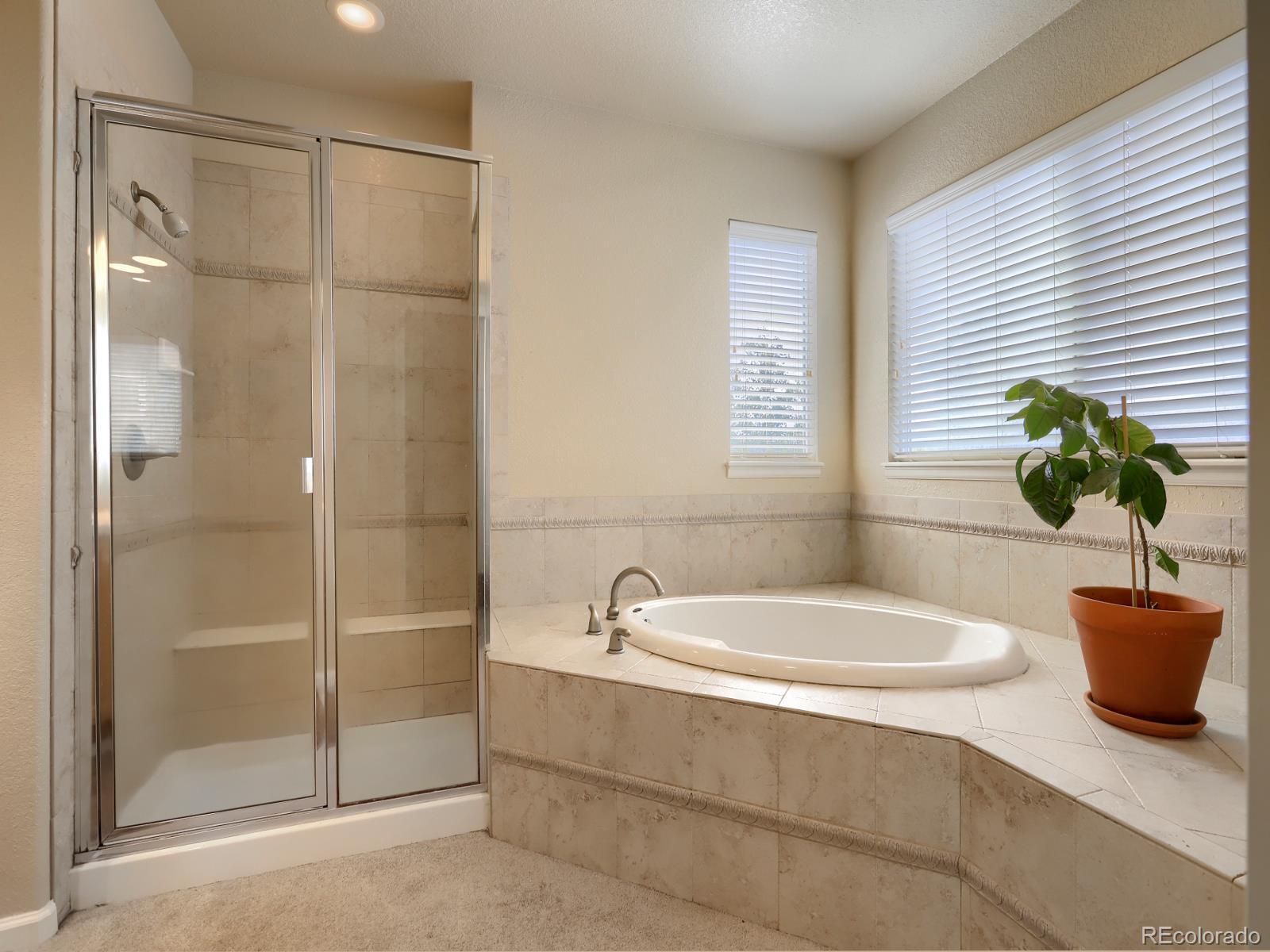 MLS Image #24 for 13364 w 86th drive,arvada, Colorado