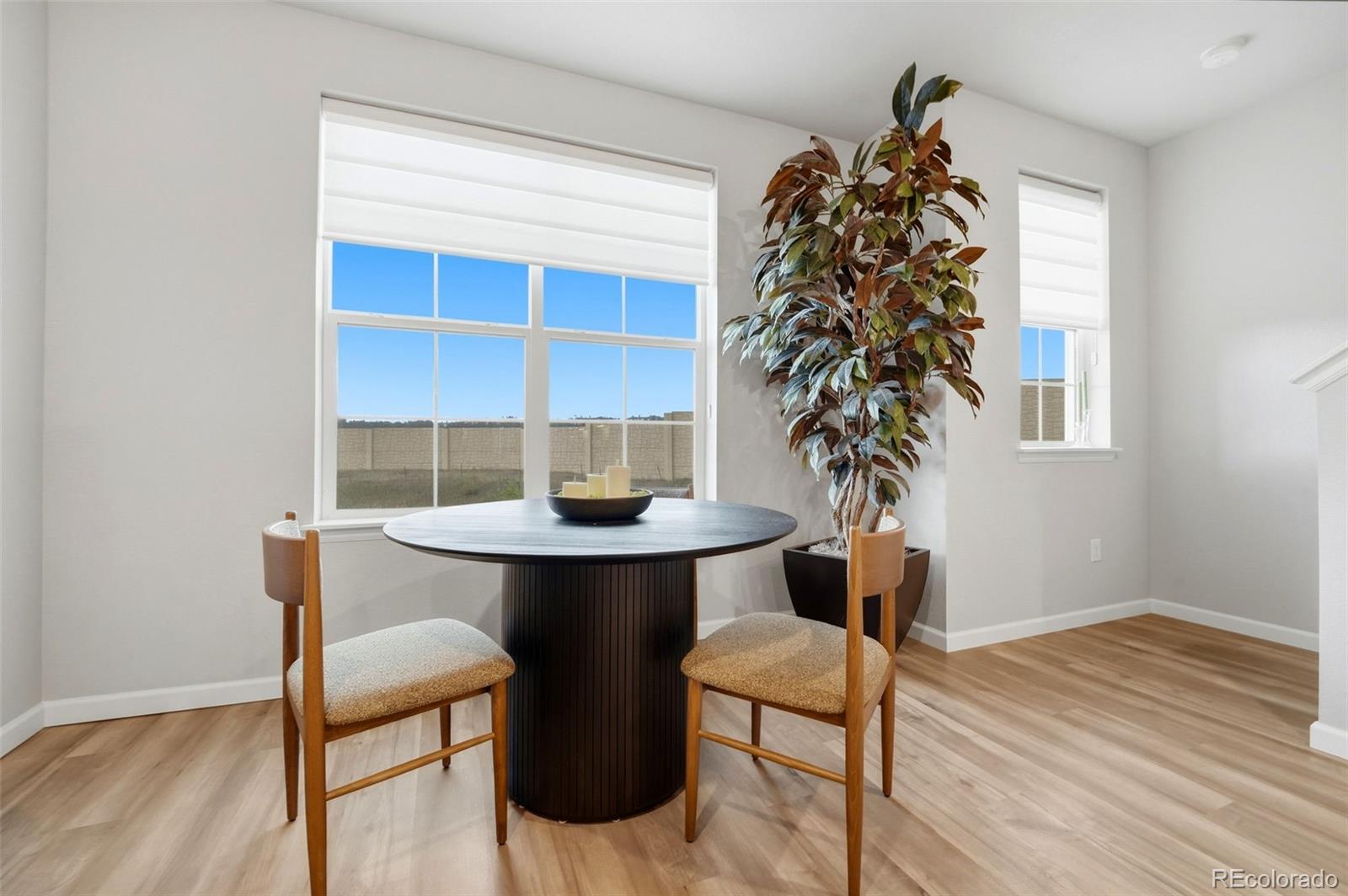 MLS Image #11 for 2100  santini trail,littleton, Colorado
