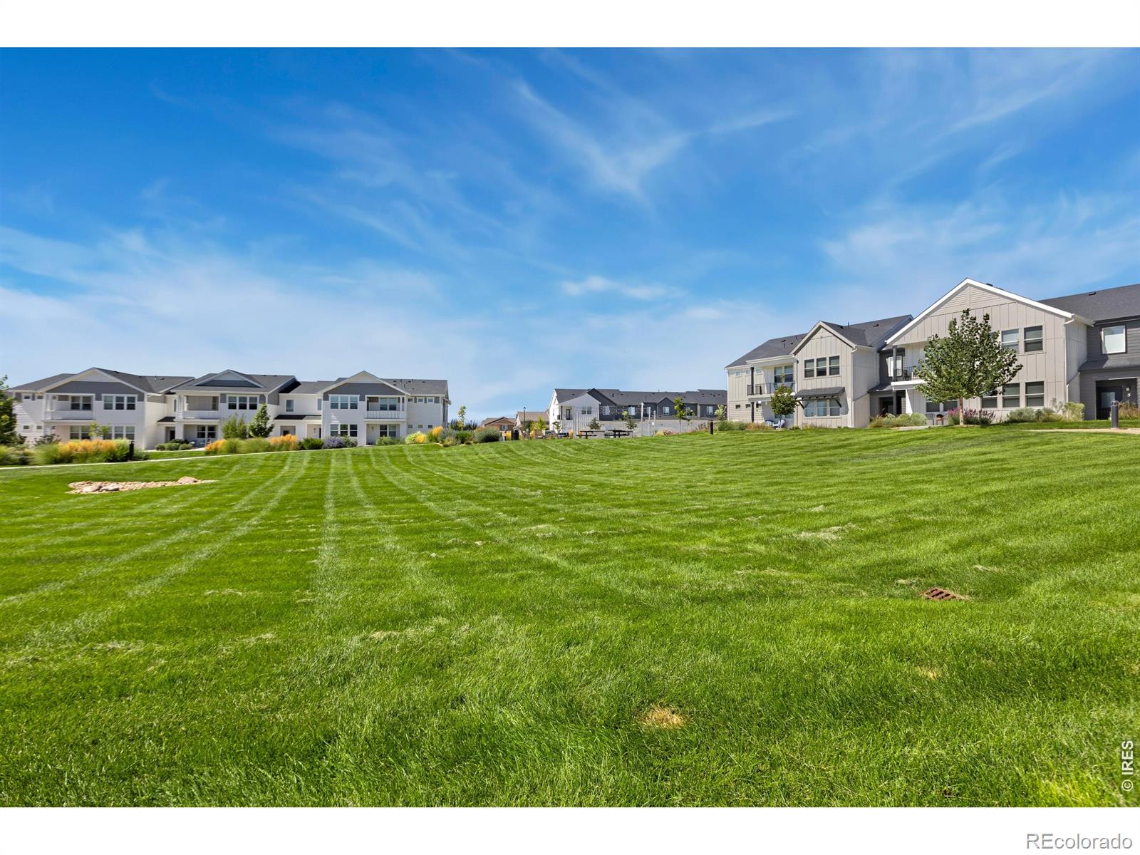 MLS Image #19 for 2102  setting sun drive,windsor, Colorado
