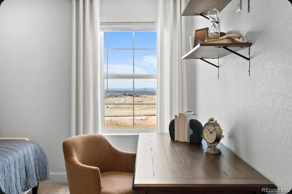 MLS Image #9 for 17211 w 91st lane,arvada, Colorado
