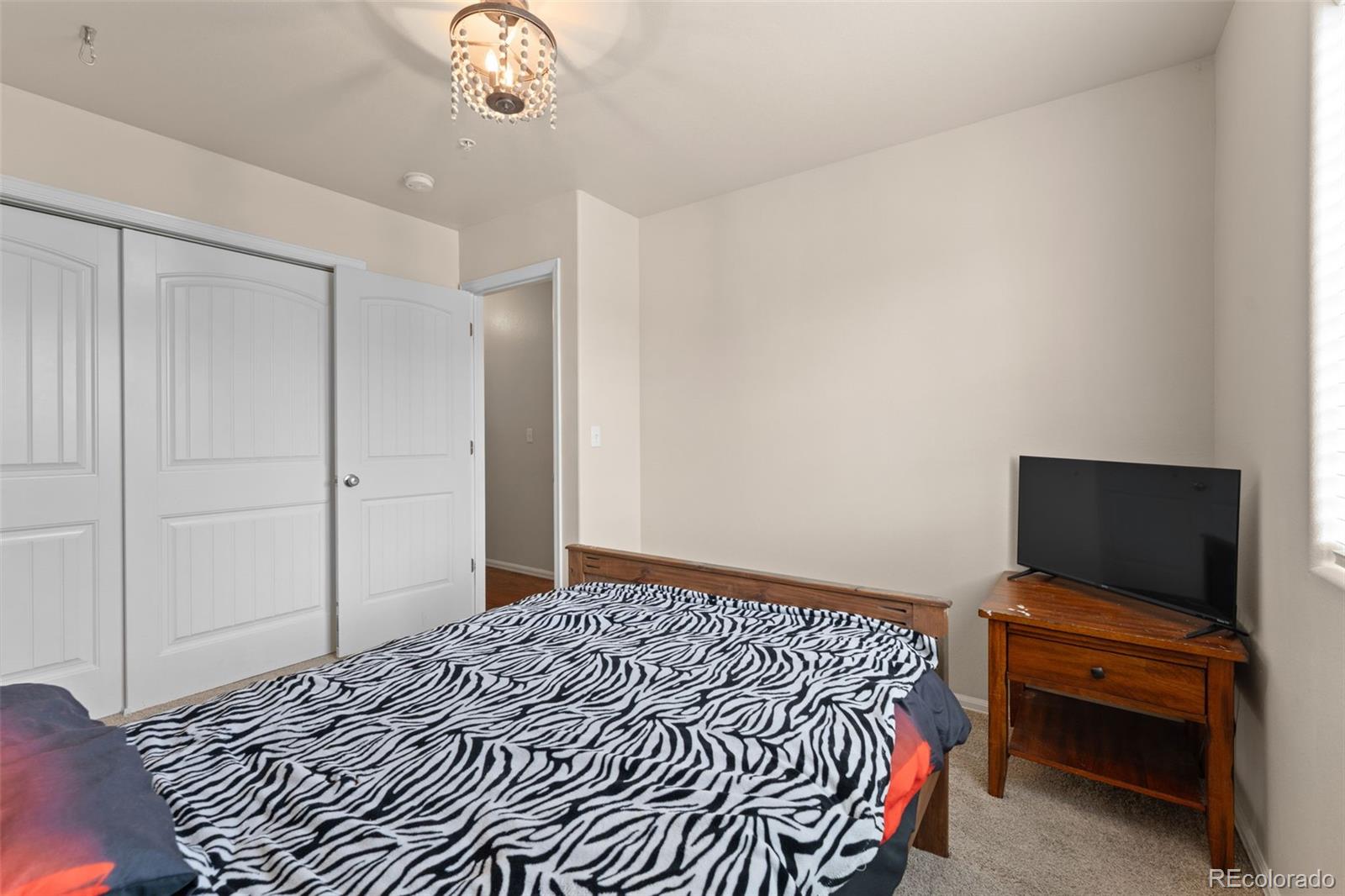 MLS Image #25 for 3011  shikra view,colorado springs, Colorado