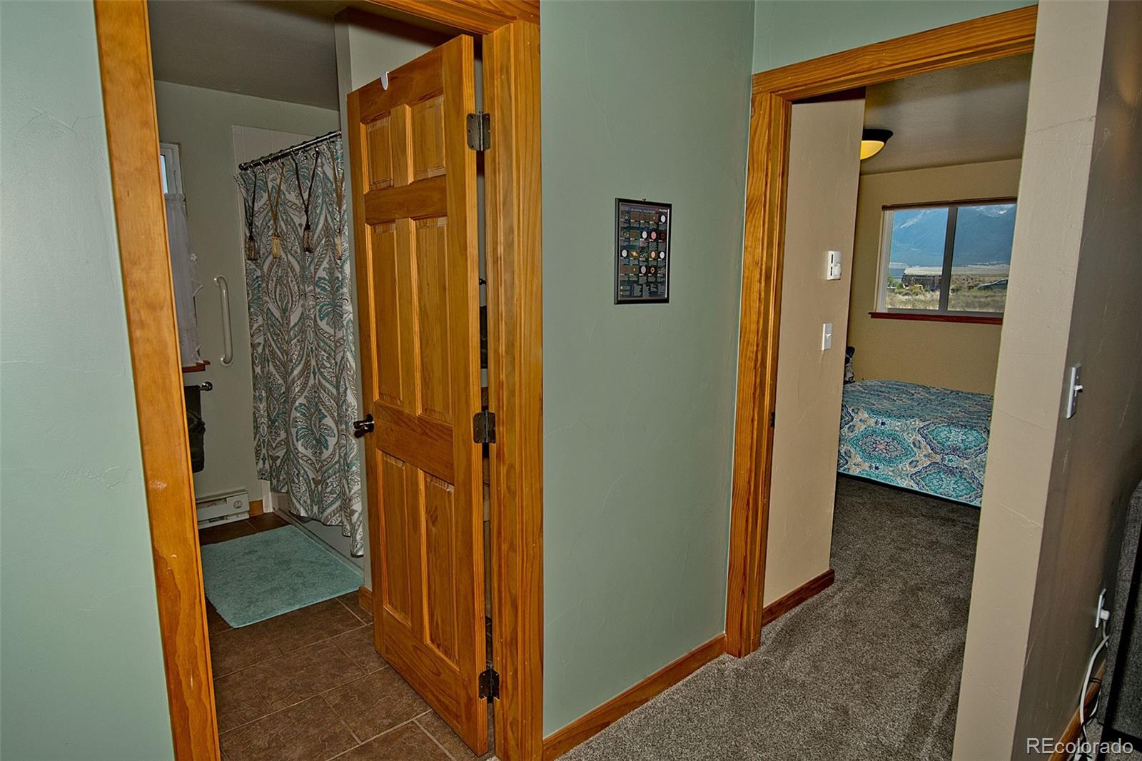 MLS Image #15 for 47  cielo court,moffat, Colorado