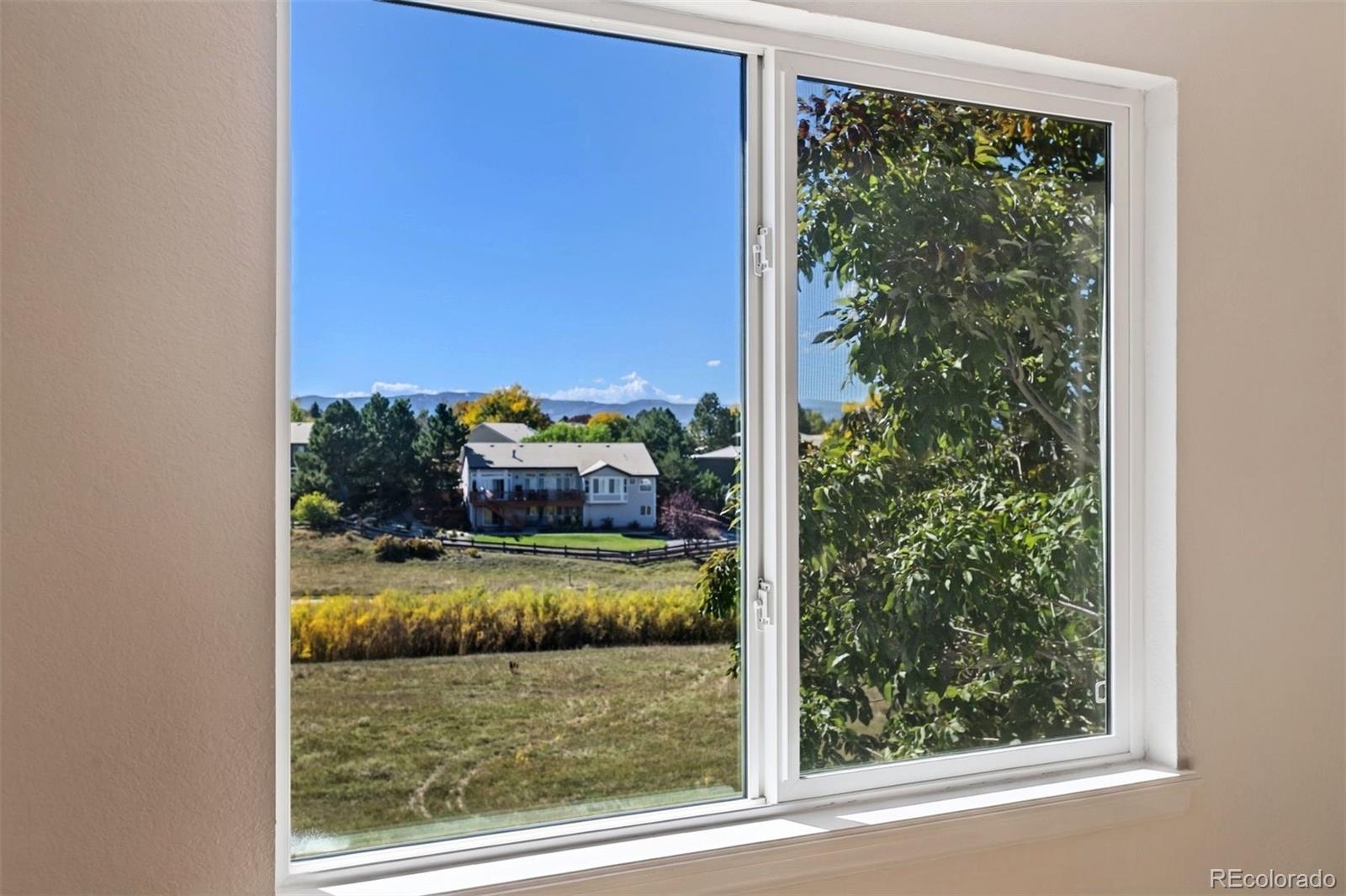 MLS Image #28 for 1528  mountain maple avenue,highlands ranch, Colorado
