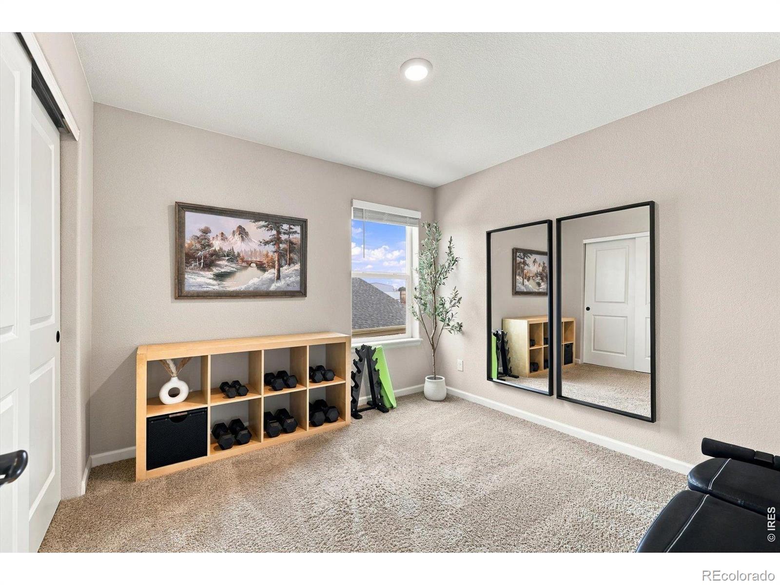 MLS Image #26 for 2331  angus street,mead, Colorado