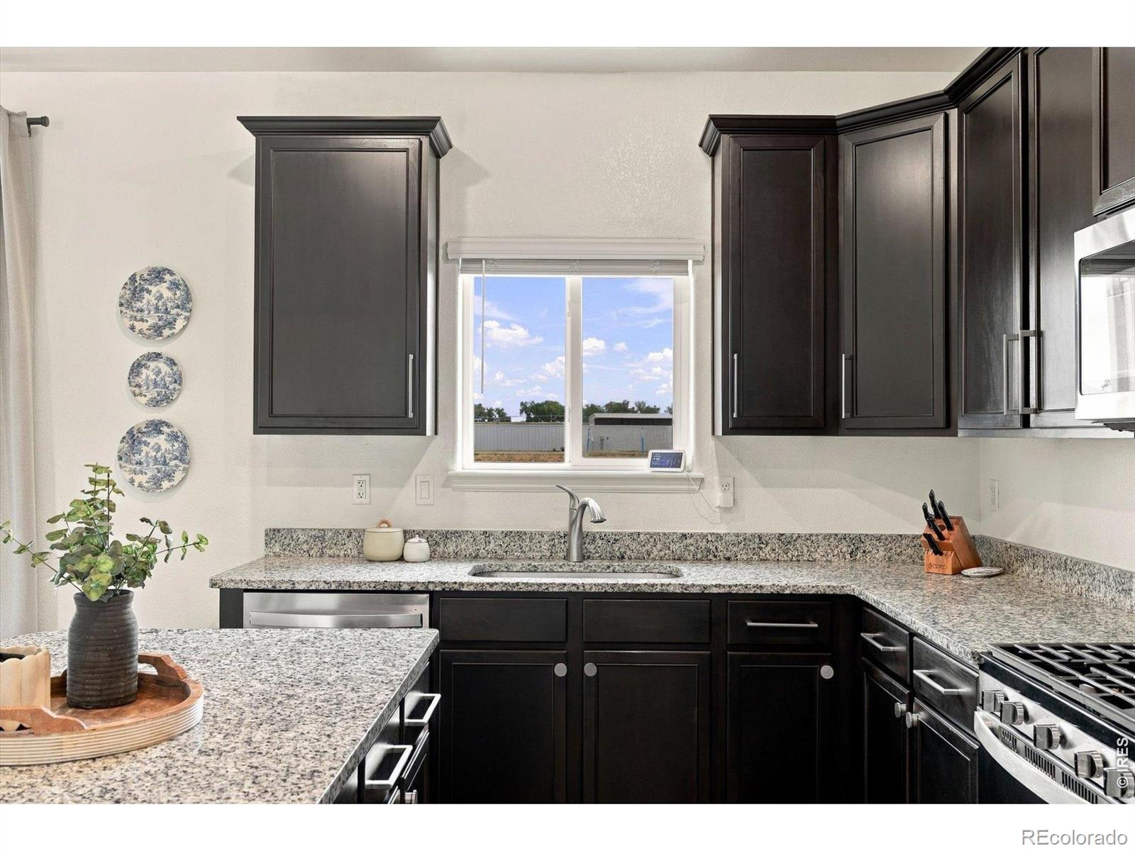 MLS Image #9 for 2331  angus street,mead, Colorado