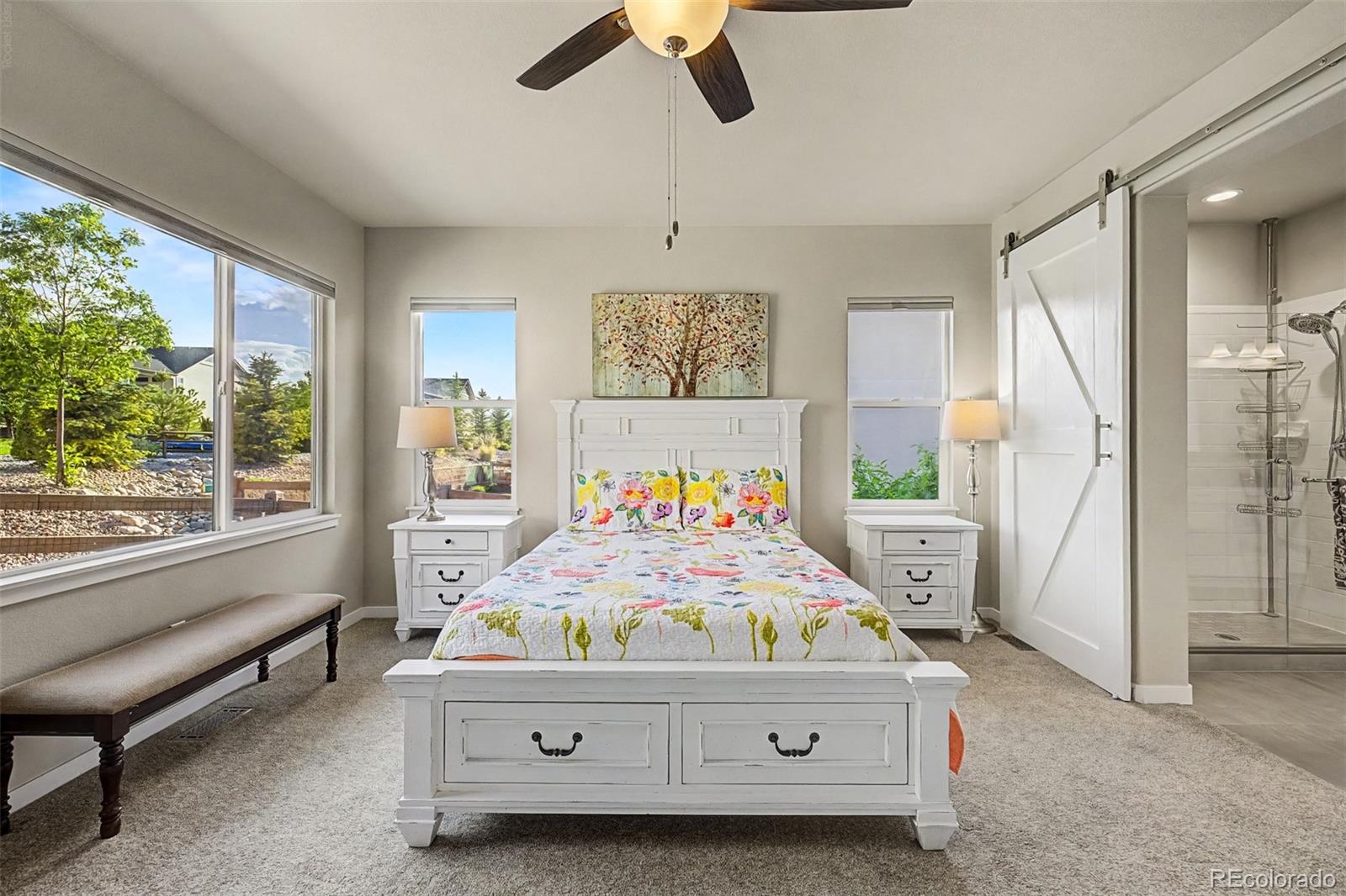 MLS Image #22 for 12626  pensador drive,colorado springs, Colorado