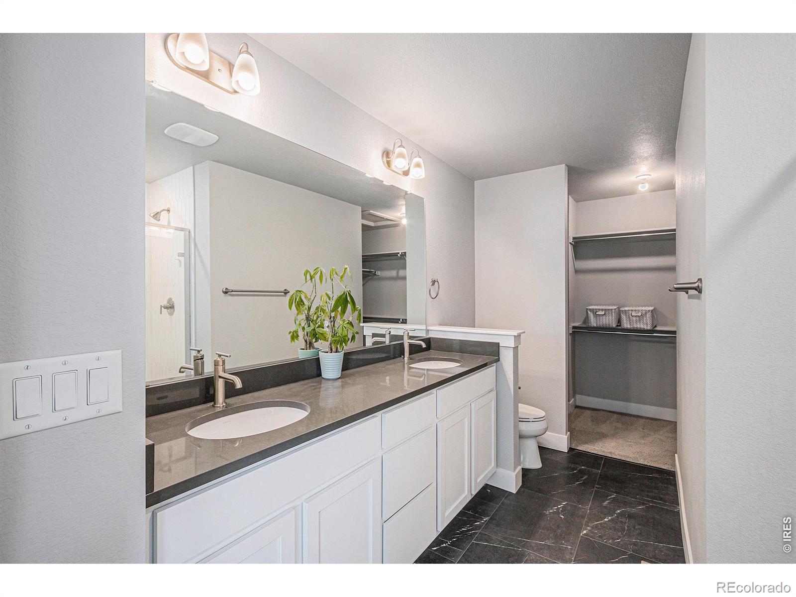 MLS Image #20 for 6019  denys drive,timnath, Colorado