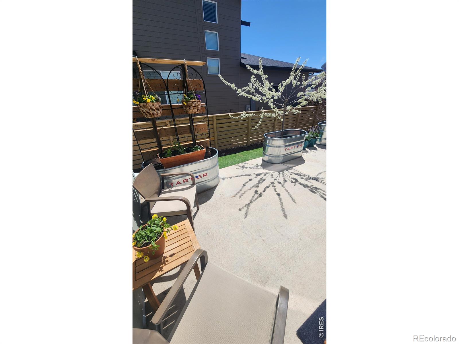 MLS Image #26 for 6019  denys drive,timnath, Colorado