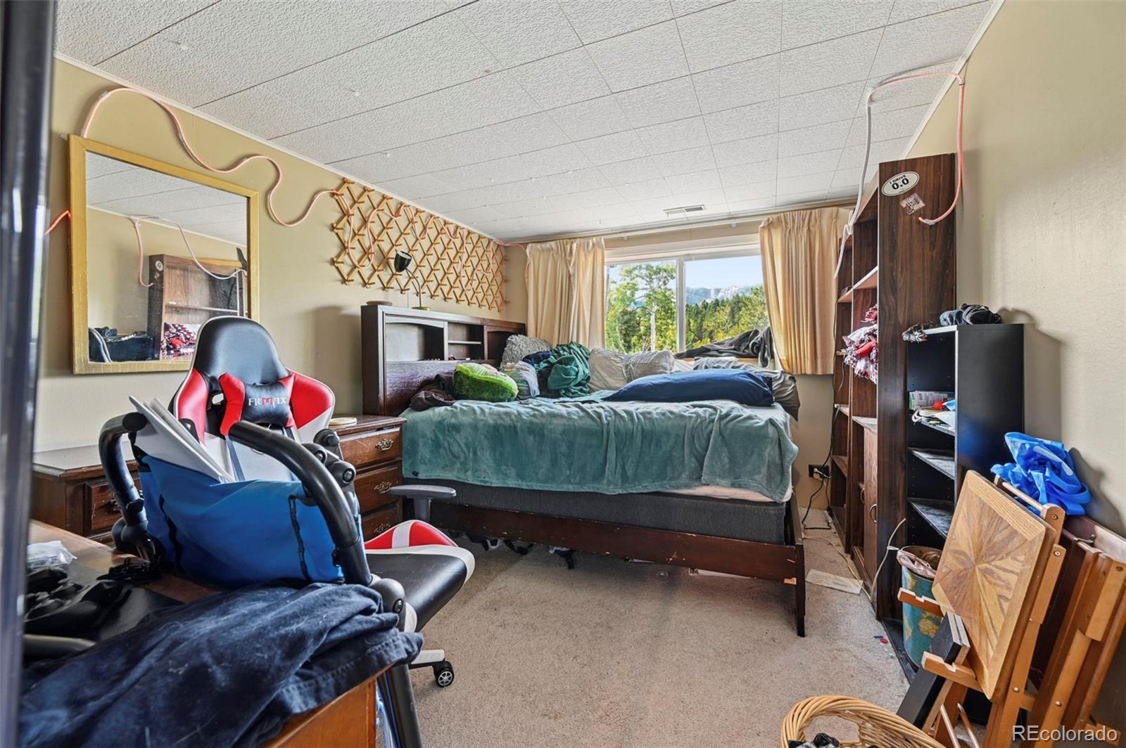 MLS Image #17 for 2659  edlowe road,woodland park, Colorado