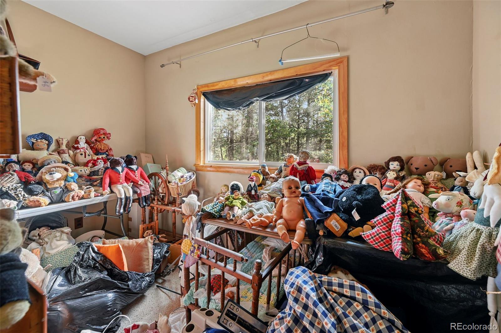 MLS Image #2 for 2659  edlowe road,woodland park, Colorado