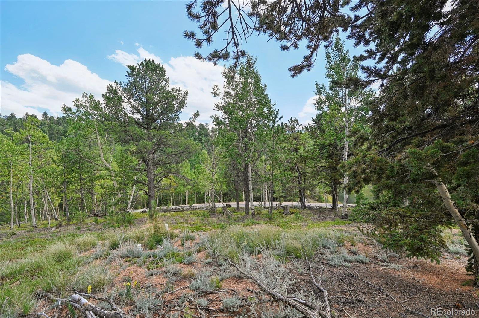 MLS Image #25 for 2659  edlowe road,woodland park, Colorado