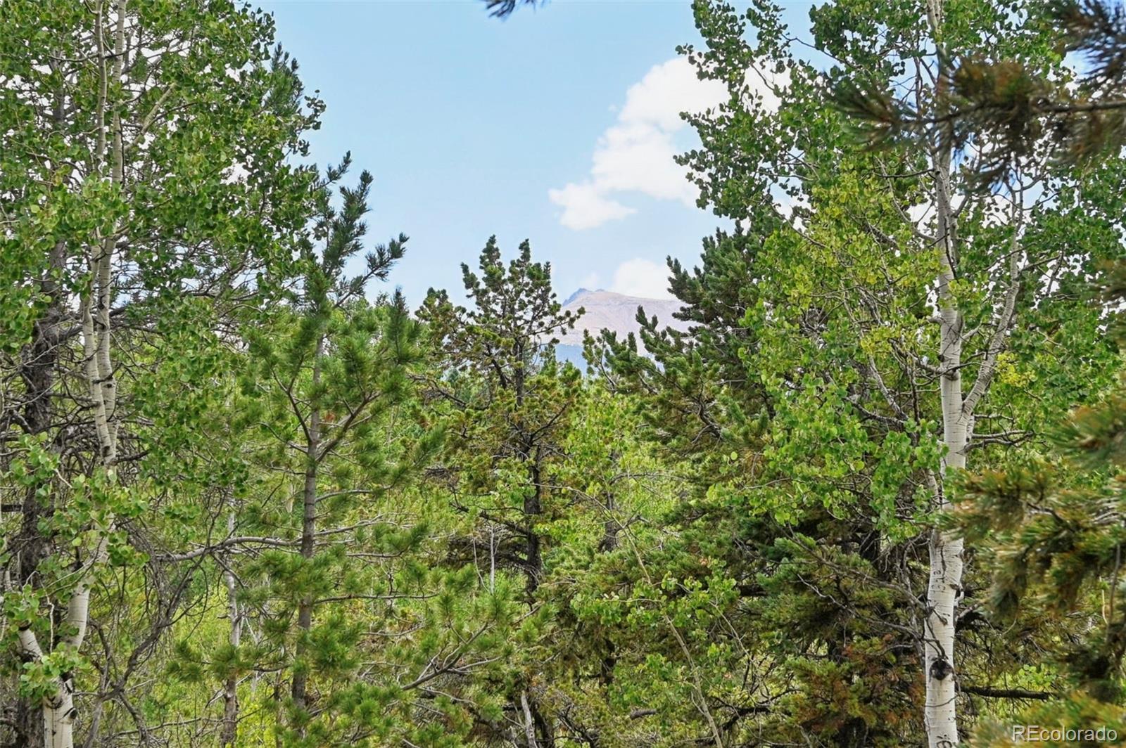 MLS Image #28 for 2659  edlowe road,woodland park, Colorado
