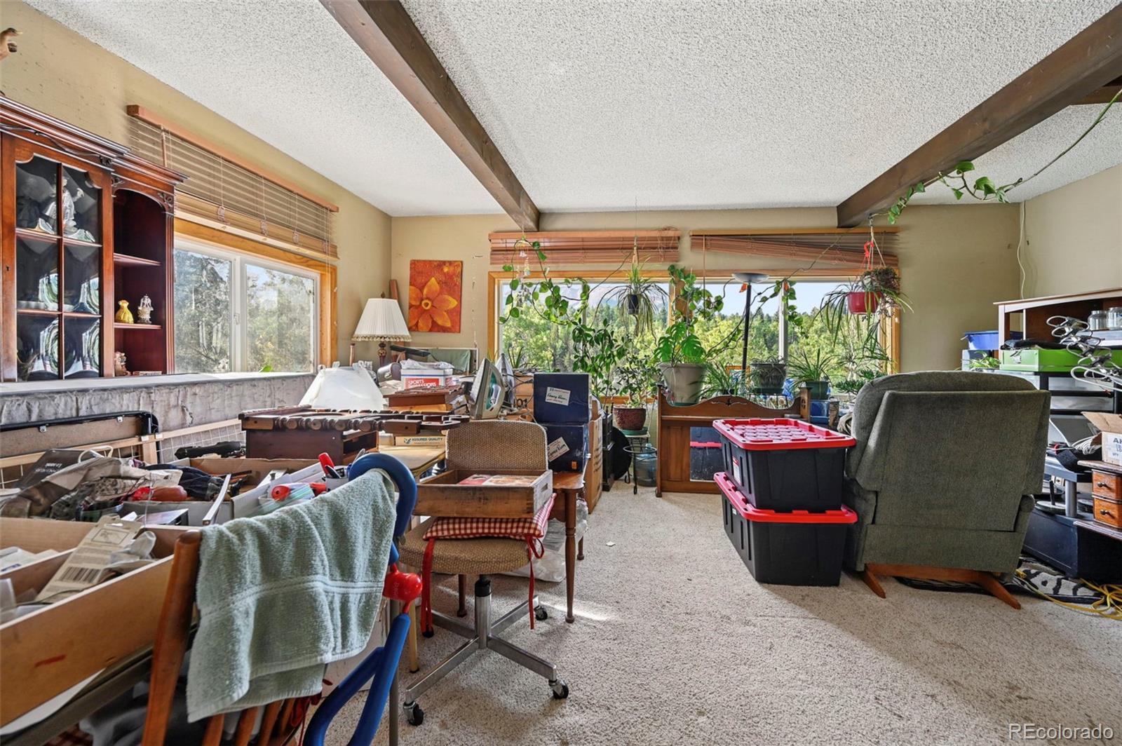 MLS Image #9 for 2659  edlowe road,woodland park, Colorado