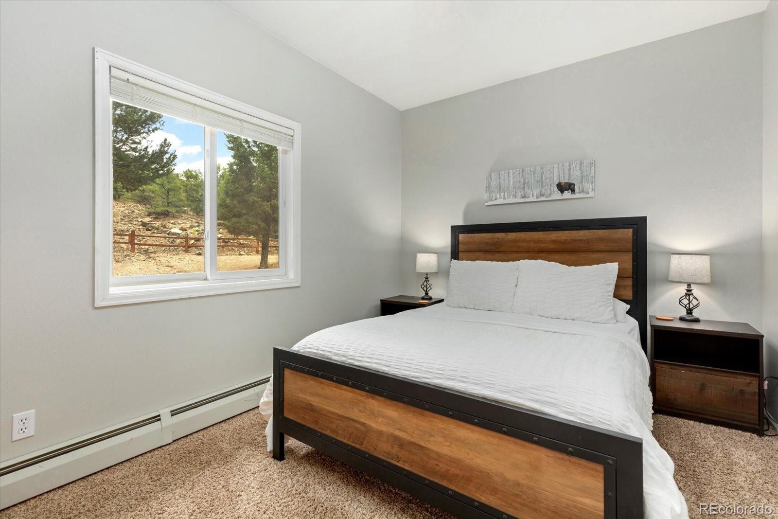 MLS Image #23 for 5707  county road 210 ,salida, Colorado