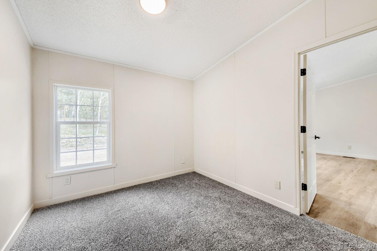 MLS Image #10 for 580  forest drive,bailey, Colorado