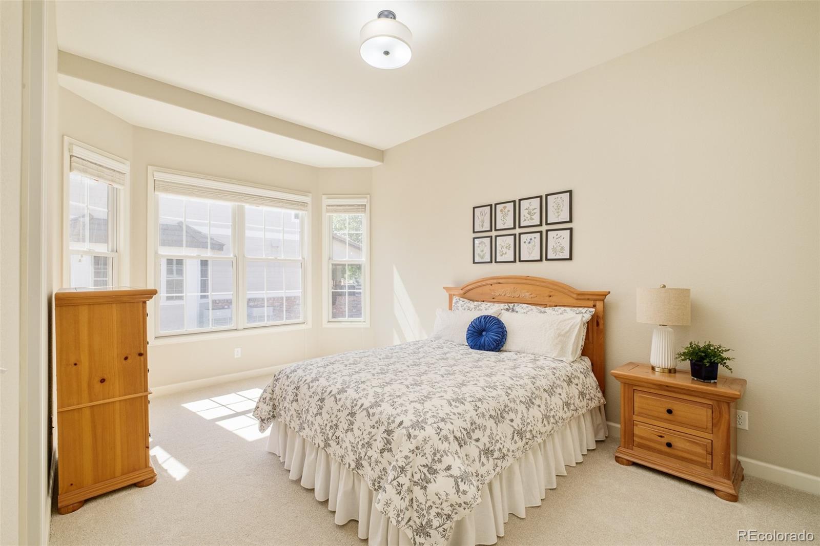 MLS Image #36 for 14285  kalamath street,westminster, Colorado