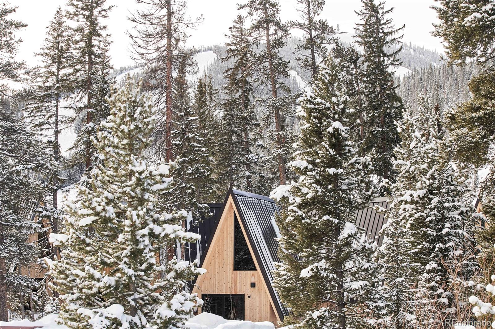 MLS Image #0 for 1008  winter park drive ,winter park, Colorado