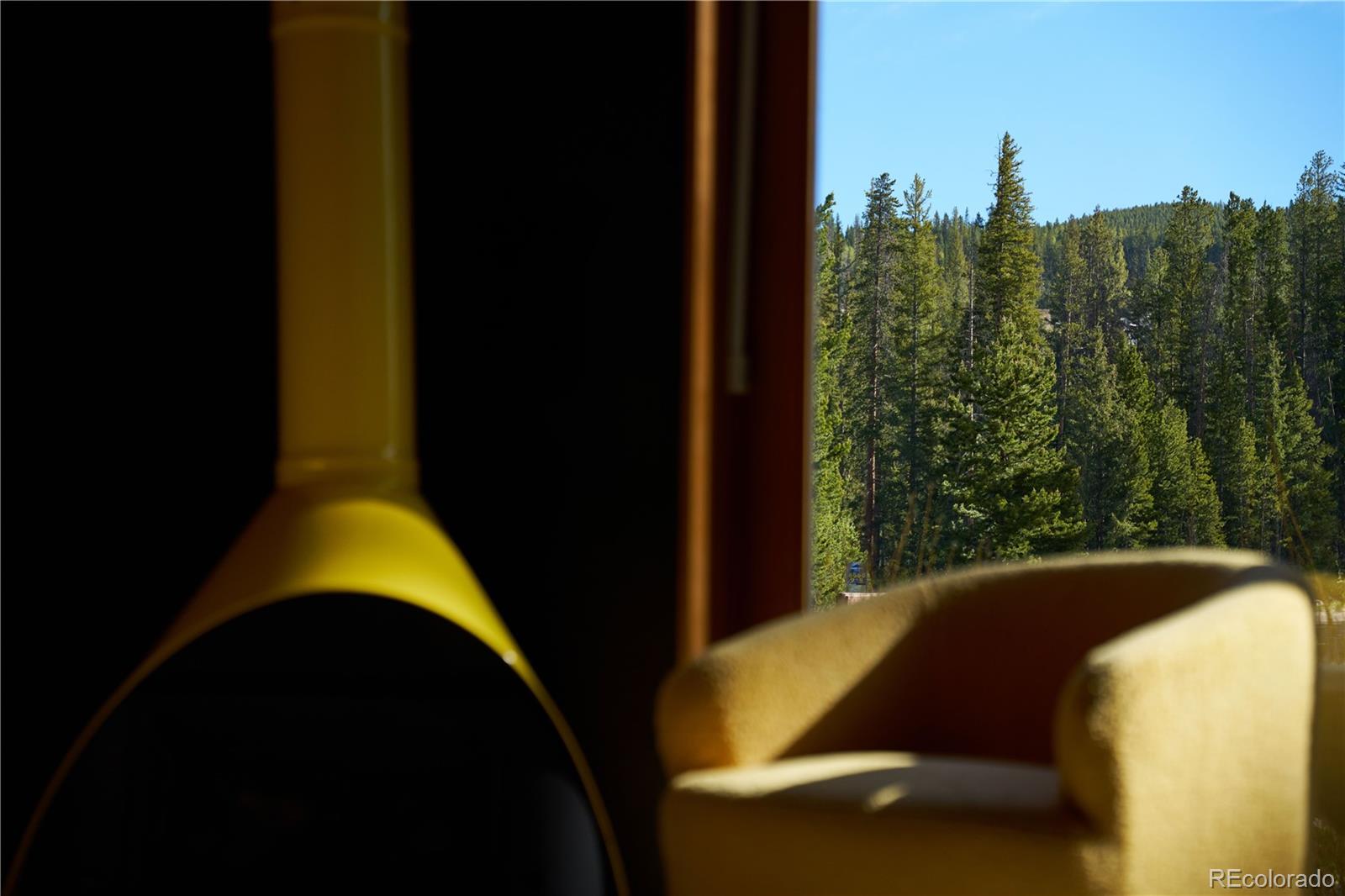 MLS Image #24 for 1008  winter park drive ,winter park, Colorado